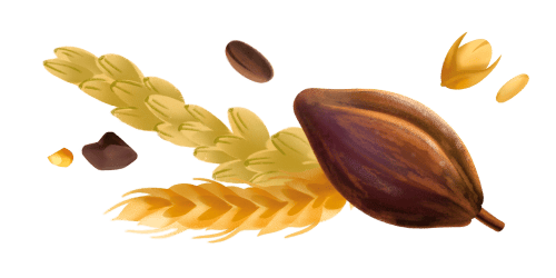 Immagine degli ingredienti dei Biscotti Cacao e riso soffiato Misura della linea Privolat