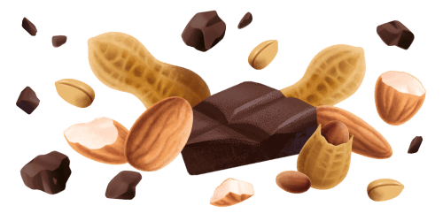 Immagine degli ingredienti delle Barrette frutta secca con cioccolato Misura della Linea Dolcesenza