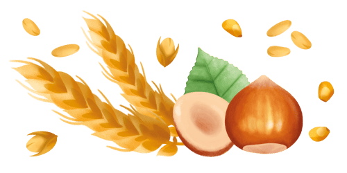 Immagine degli ingredienti dei Biscotti Nocciola Misura della Linea Dolcesenza