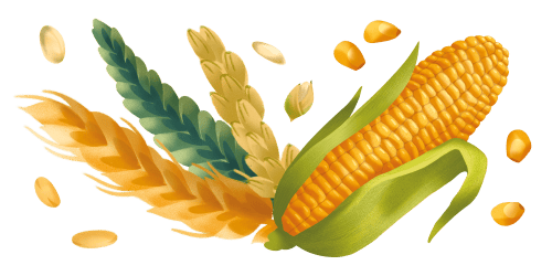 Immagine degli ingredienti dei Biscotti Cereali Misura della Linea Dolcesenza