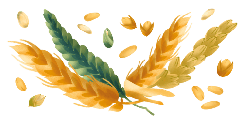 Ingredienti dei Biscotti integrali Misura della Linea Dolcesenza