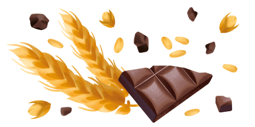 Immagine degli ingredienti dei Biscotti Scaglie di cioccolato Misura della Linea Dolcesenza