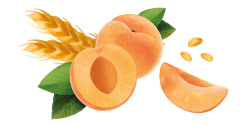 Immagine degli ingredienti dei Cornetti albicocca Misura della Linea Dolcesenza