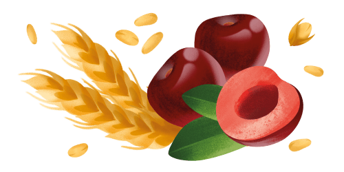 Immagine degli ingredienti dei Cornetti alla ciliegia Misura della Linea Dolcesenza