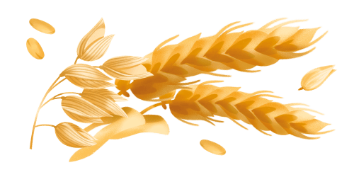 Immagine degli ingredienti delle Fette Misura della Linea Dolcesenza