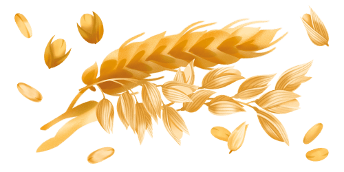 Immagine degli ingredienti dei Pancake Misura della Linea Protein