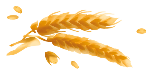 Immagine degli ingredienti delle pennette rigate integrali Misura della Linea Fibrextra